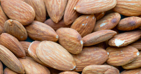 Beautiful close-up of an almond