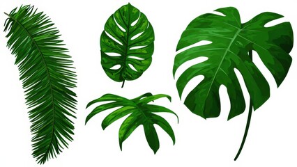 Tropical leaf 