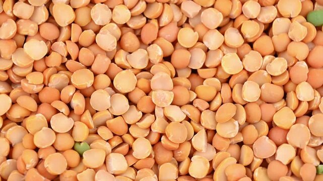 Split yellow peas. Dried, peeled and split seeds of Pisum sativum, the pea. Source of plant protein. Healthy eating. Vegan food.