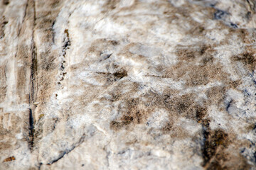 texture of stone