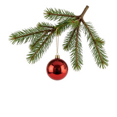 Festive ornament hanging on pine branch, shiny red ball nestled among green needles, perfect for holiday decor themes. Isolated on white background or PNG