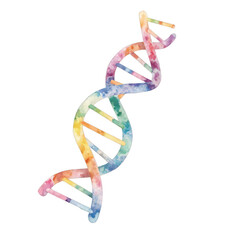 Colorful DNA strand illustration, vibrant spiral structure in multicolor, perfect for educational and scientific themes. Isolated on white background or PNG