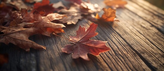 Obraz premium Autumnal scene featuring dry maple and oak leaves scattered on a rustic wooden table illuminated by soft natural light