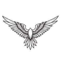 Fototapeta premium vector illustration of a bird, vector illustration of an eagle, dove of peace