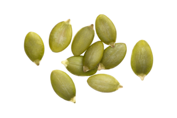 Pumpkin seeds isolated on transparent background.