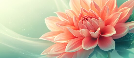 Obraz premium Delicate dahlia flower with soft pastel colors and a serene background evoking tranquility and beauty in nature.