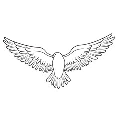 vector wings of a bird, vector wings of the eagle, eagle with wings