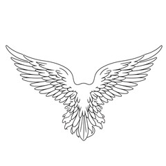 vector wings of a bird, vector wings of the eagle, eagle with wings