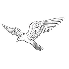 vector wings of a bird, vector wings of the eagle, eagle with wings