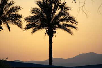 sunset in the desert