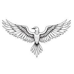 Obraz premium vector wings of a bird, vector wings of the eagle, eagle with wings
