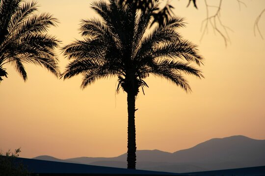 sunset in the desert