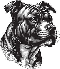 Detailed Vector Outline Illustration of an American Staffordshire Terrier