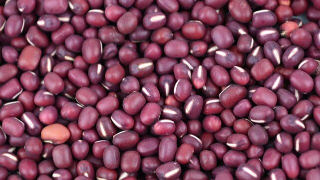 Vigna angularis, the adzuki bean, azuki bean, aduki bean, red bean, red mung bean. a legume for culinary. Plant-based protein source. Vegan food. Whole food.