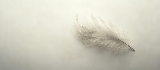 Obraz premium Delicate white feather isolated on soft background symbolizing lightness and purity in nature.
