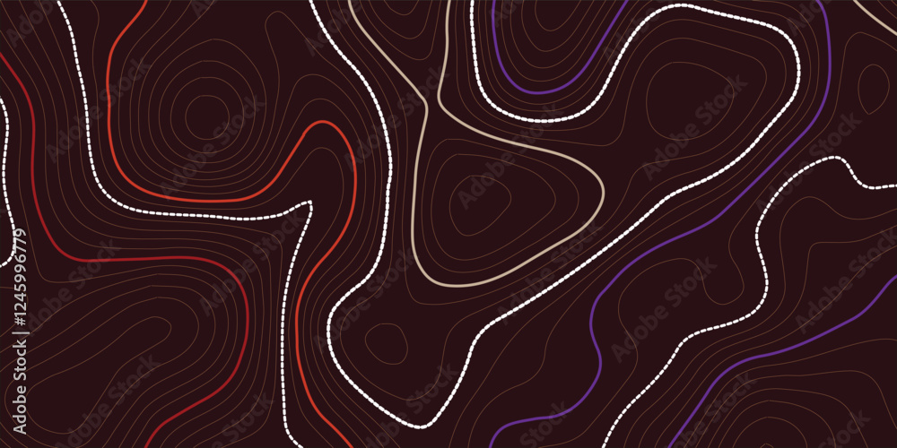 Leinwandbilder the stylized height of the topographic map contour in lines and contours. the concept of a condition