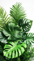 A lush composition of various jungle plants on a white background