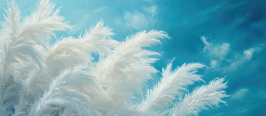 Obraz premium dreamy blue sky with soft white feather-like clouds creating a serene and tranquil atmosphere in nature photography