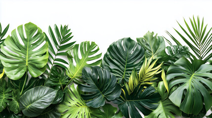 A lush composition of various jungle plants on a white background