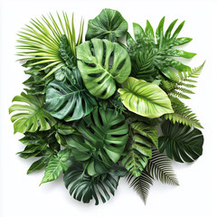 A lush composition of various jungle plants on a white background