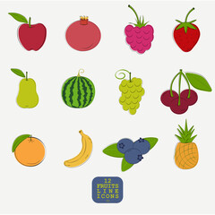 12 color fruits line icon