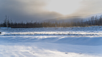 Snow Dunes Glowing in Winter Sun - Gentle snow dunes glisten under the winter sunlight, with a forested horizon blurred in the background.