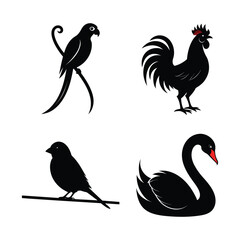 Fototapeta premium Parrot, rooster, sparrow, and swan silhouette bundle pack with write background