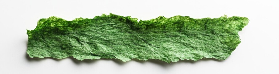 Green lettuce leaf, isolated, white background, food photography, recipe ingredient