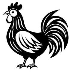 rooster isolated on white