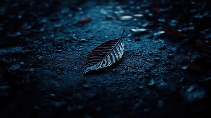Lone autumn leaf on dark ground, forest floor, night