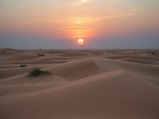 Vast desert with rolling dunes and an orange sky during sunset.
