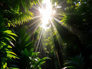 Dense tropical forest with sun rays penetrating between the green leaves
