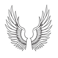 wings vector 