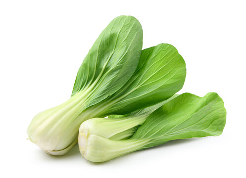 Pok Choi isolated on white background. Clipping path.