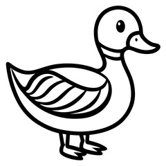 duck