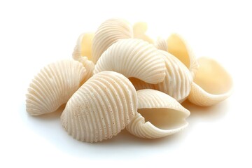 Elegant Cream Seashells Coastal Summer Beach Decor