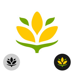 Wheat ear elegant logo with three corn cobs or grain seeds. Agriculture stylized minimalistic symbol. Organic food theme conceptual icon. Natural products colorful sign.