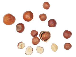 Hazelnuts isolated on a white background, top view.