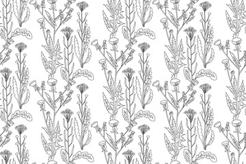 Fototapeta premium Line art botanical abstract seamless plant pattern with wildflowers vector illustration. Black and white outline repeating floral background. Graphic design for Wallpaper Textile Cover Card Birthday