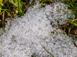 草の上の残雪が輝く05