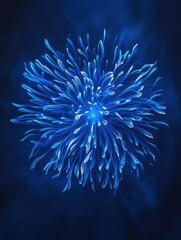 Blue fireworks on a dark blue background
