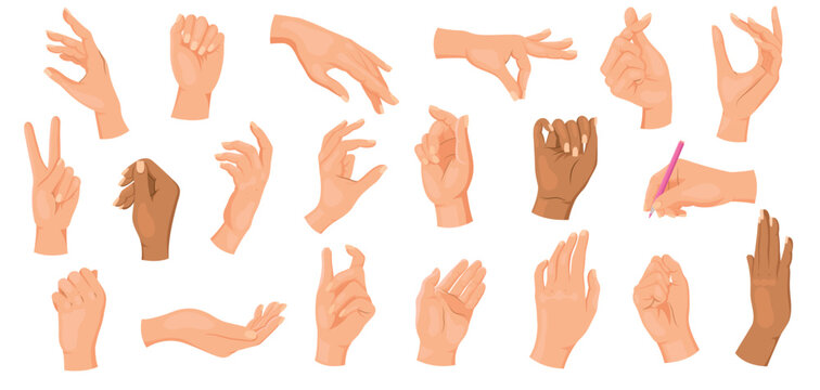 Set of different hand gestures in various positions, depicted in a flat style on a white background. Concept of communication and expression. Vector illustration