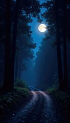 Full moon casting shadows on a dark forest path, nighttime, foliage, shadow