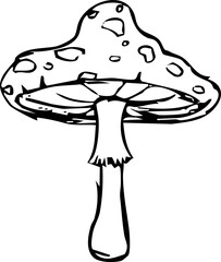 Mushroom sketch doodle drawing, fantasy forest line plant. Botanical hand drawn mushrooms. Tattoo sign Linear