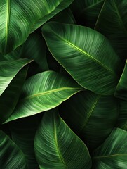 Lush tropical green leaves creating a vibrant and natural background, vibrant, background