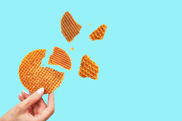 Female's hand holding cracked stroopwafel, waffle pieces levitating at different angles, isolated on blue background. Traditional Dutch waffle caramel cookie. Copy space. Creative food concept