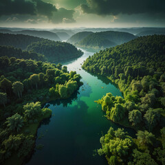 Lush Green Forest with Serene River, Aerial View in Vibrant Natural Tones, Tranquil Wilderness Landscape