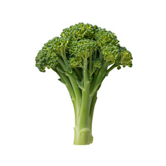 Fresh broccoli floret rich in nutrients, perfect for healthy meals