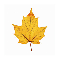 Fototapeta premium Golden Yellow Autumn Leaf – Nature’s Beauty in Fall 