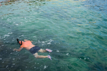 Snorkeler Exploring the Clear Waters